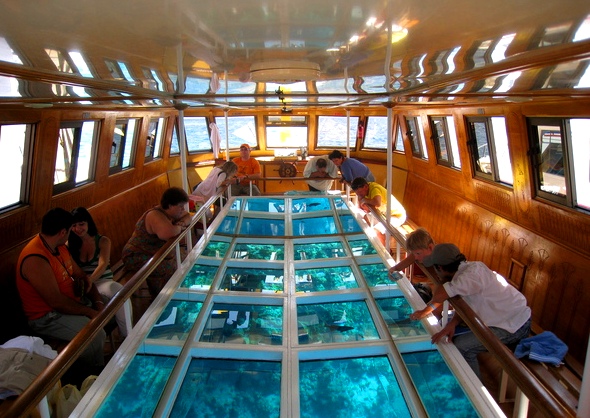 фото экскурсия Лодка со стеклянным дном